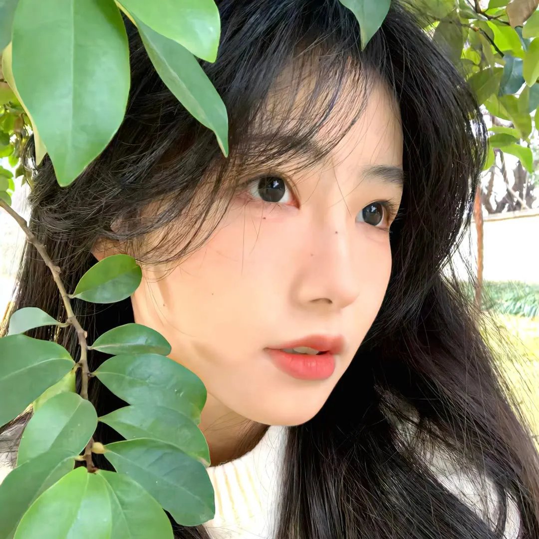 春来梦也香海报